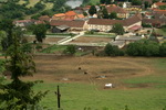 grafika